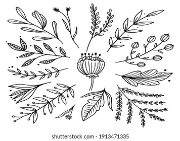 leaf and flower floral ornament template