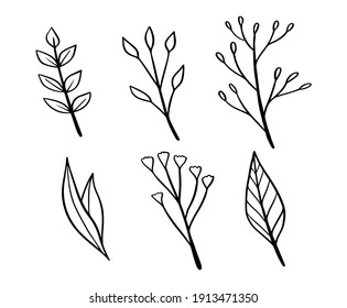 leaf and flower floral ornament template