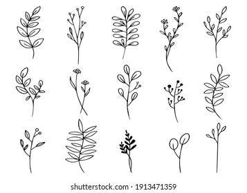 leaf and flower floral ornament template