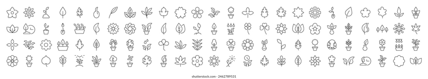 Leaf and Flower Illustration of Thin Lines. Perfect for design, infographics, web sites, apps