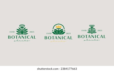 Plantilla de logotipo de planta de flores de hoja. Símbolo universal creativo premium. Ilustración vectorial. Plantilla de diseño Mínimo Creativo. Símbolo de identidad empresarial