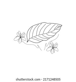 dibujo de hojas y flores sobre fondo blanco. vector de ilustración