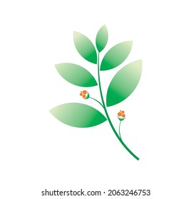 leaf and flower vector illustration isolated on white