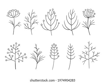 Leaf and Flower vector sketch hand drawn set. Botanical clipart. Forest greenery background