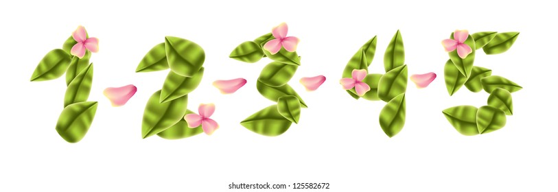 Leaf and flowers numbers set 1,2,3,4,5 - Powered by Shutterstock - Get 15% off with code: PIKWIZARD15