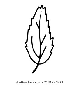leaf foliage autumn line icon forest element doodle vector illustration