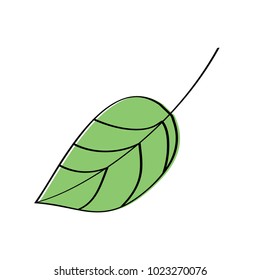 leaf foliage botany frond natural icon