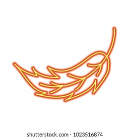 leaf foliage botany frond natural icon