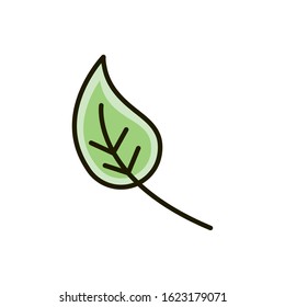 leaf foliage ecology nature drawing vector illustration