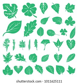 Leaf Foliage Green Ecology Nature Set