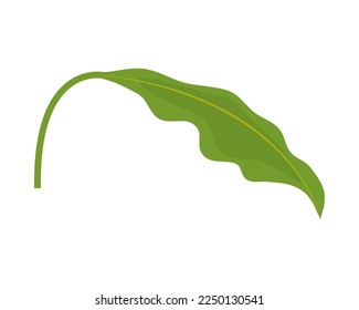diseño aislado del icono foliación de hoja