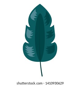 leaf foliage natural botanical on white background vector illustration