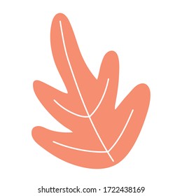 leaf foliage nature botancial isolated icon on white background vector illustration