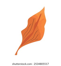 Elemento de naturaleza de follaje de hojas aislado
