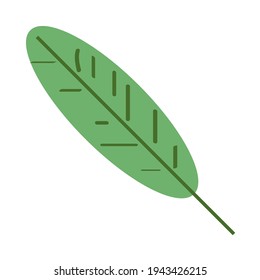 leaf foliage nature hand drawn
