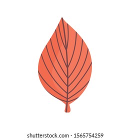 leaf foliage nature on white background vector illustration