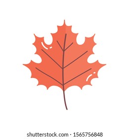 leaf foliage nature on white background vector illustration