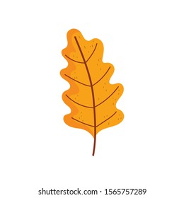 leaf foliage nature on white background vector illustration