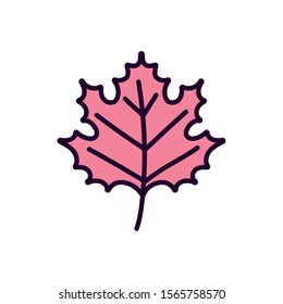 leaf foliage nature on white background vector illustration