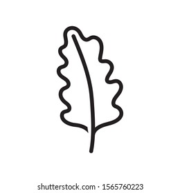 leaf foliage nature on white background vector illustration thick line