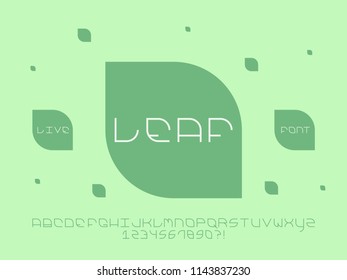 Leaf font. Vector alphabet letters and numbers. Typeface design. 
