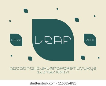 Leaf font. Vector alphabet letters and numbers. Typeface design. 
