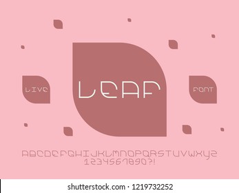 Leaf font. Vector alphabet letters and numbers. Typeface design. 