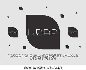 Leaf font. Vector alphabet letters and numbers. Typeface design. Typography Graphic