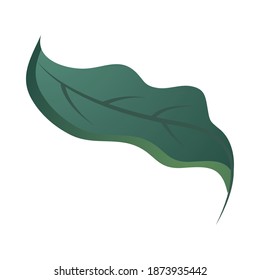 leaf forest foliage nature icon over white background vector illustration