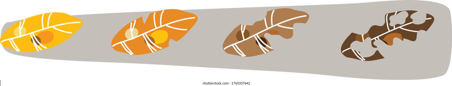 Leaf Four Decomposition Stage Hand Free Vector