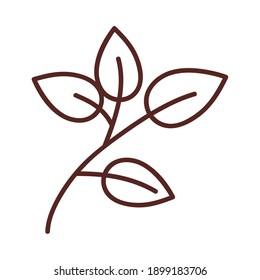 leaf with four leaves line style icon design of Plant natural floral theme Vector illustration