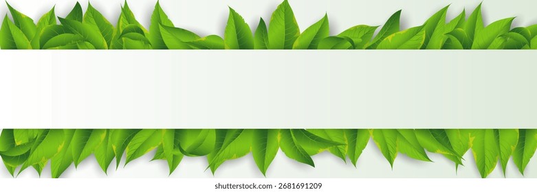 Modelo de plano de fundo de quadro folha para design e convite