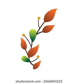 Leaf Frame Element Vector Design