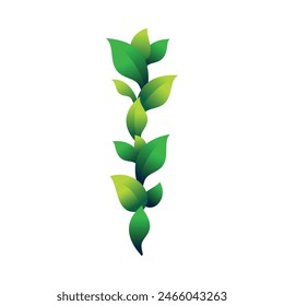 Leaf Frame Element Vector Design