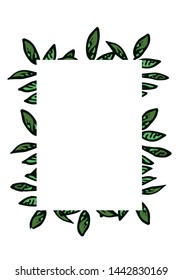 leaf frame isolated on white background
