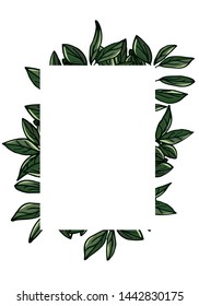 leaf frame isolated on white background