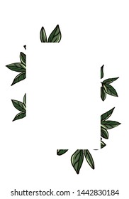 leaf frame isolated on white background