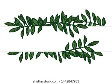 leaf frame isolated on white background