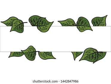 leaf frame isolated on white background