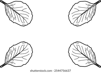 Blattrahmenvektor im Doppelstil. schwarz-weiße Blätter Rahmen tropische horizontale Grenze. Vektorgrafik mit schönen tropischen Pflanzen aus dem Amazonas-Regenwald.