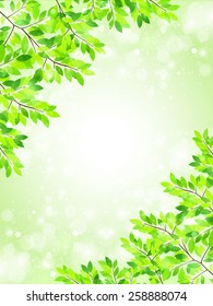  Leaf fresh green background 