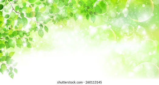 Leaf fresh green background