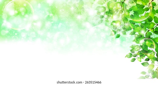 Leaf fresh green background