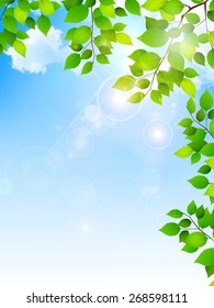  Leaf fresh green background