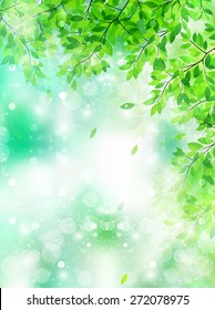 Leaf fresh green background