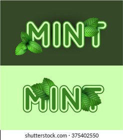 Leaf of fresh mint. 