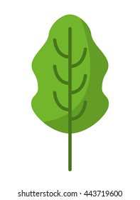 leaf fresh vegetable isolated icon design