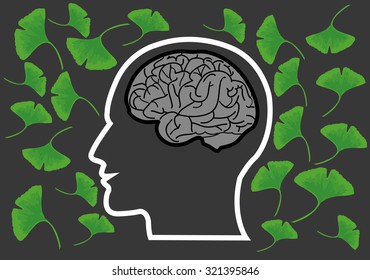 Leaf of ginkgo biloba and brain vector