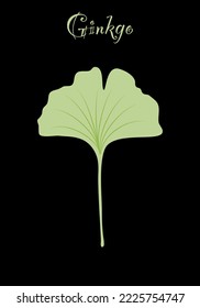 Leaf of ginkgo biloba. Flat style. Vector illustration 