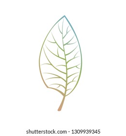 Leaf with Gradient Color Isolated on White Background, Vector Illustration